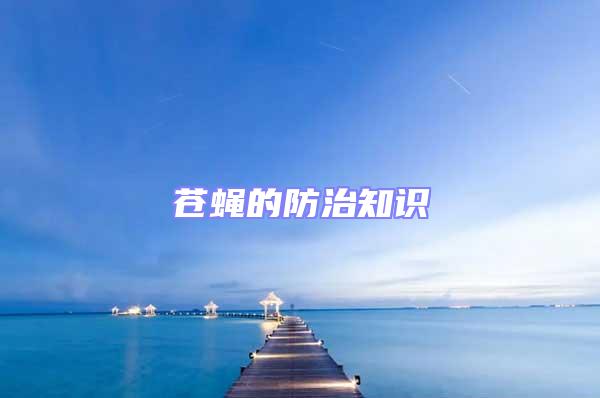 蒼蠅的防治知識