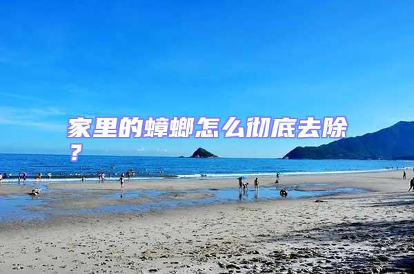 家里的蟑螂怎么徹底去除？