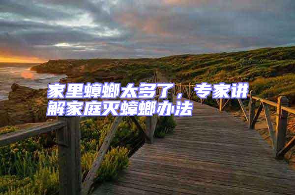 家里蟑螂太多了，專家講解家庭滅蟑螂辦法