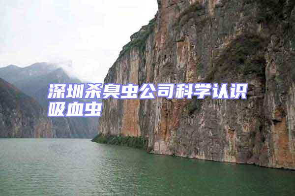 深圳殺臭蟲公司科學認識吸血蟲