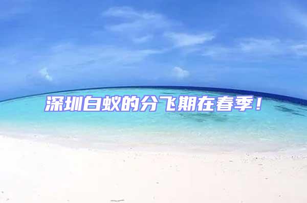 深圳白蟻的分飛期在春季!