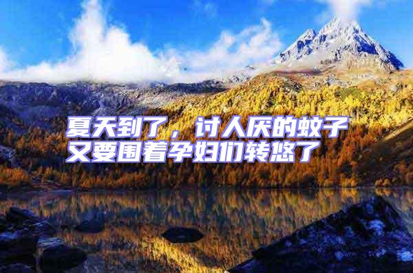 夏天到了,討人厭的蚊子又要圍著孕婦們轉(zhuǎn)悠了