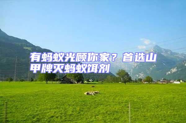 有螞蟻光顧你家？首選山甲牌滅螞蟻餌劑