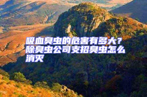 吸血臭蟲的危害有多大？除臭蟲公司支招臭蟲怎么消滅