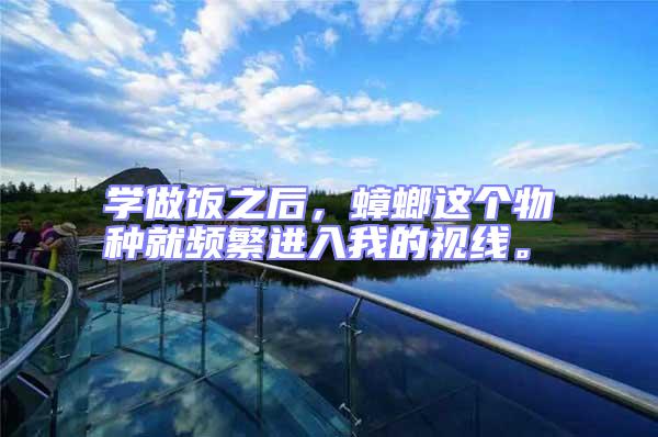 學做飯之后,蟑螂這個物種就頻繁進入我的視線。