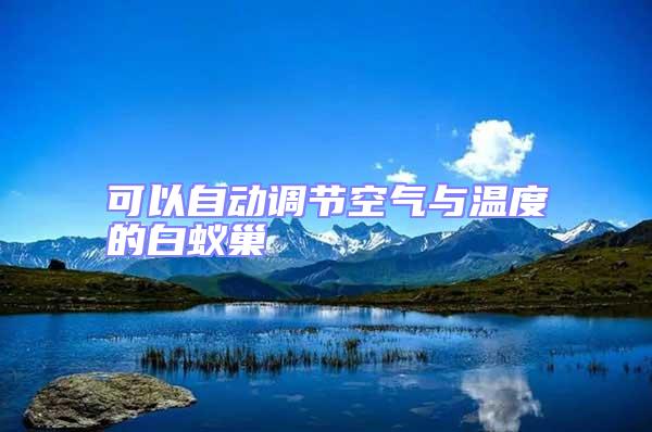 可以自動(dòng)調(diào)節(jié)空氣與溫度的白蟻巢