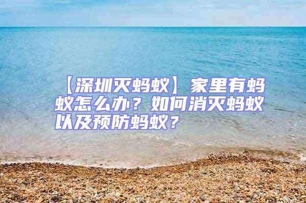 【深圳滅螞蟻】家里有螞蟻怎么辦？如何消滅螞蟻以及預防螞蟻？