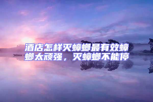 酒店怎樣滅蟑螂最有效蟑螂太頑強，滅蟑螂不能停