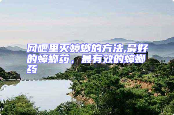 網吧里滅蟑螂的方法,最好的蟑螂藥，最有效的蟑螂藥