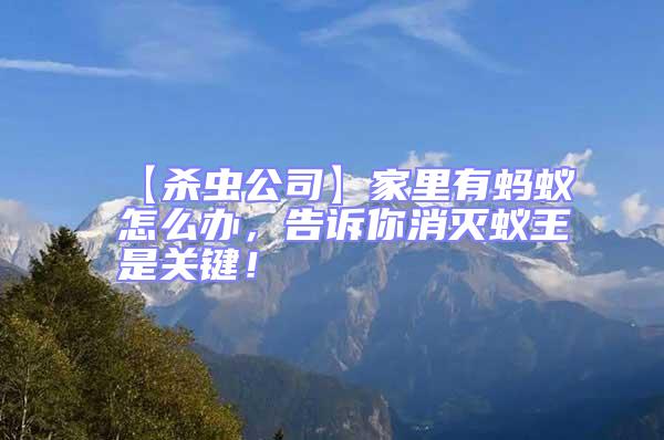 【殺蟲(chóng)公司】家里有螞蟻怎么辦,告訴你消滅蟻王是關(guān)鍵!
