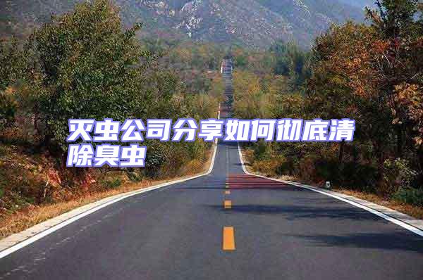 滅蟲公司分享如何徹底清除臭蟲