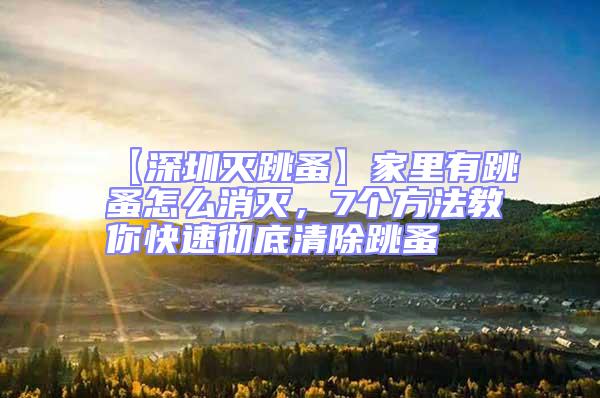 【深圳滅跳蚤】家里有跳蚤怎么消滅，7個方法教你快速徹底清除跳蚤