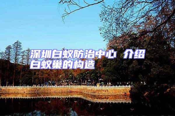 深圳白蟻防治中心 介紹白蟻巢的構(gòu)造