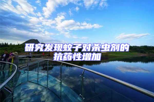 研究發(fā)現蚊子對殺蟲劑的抗藥性增加