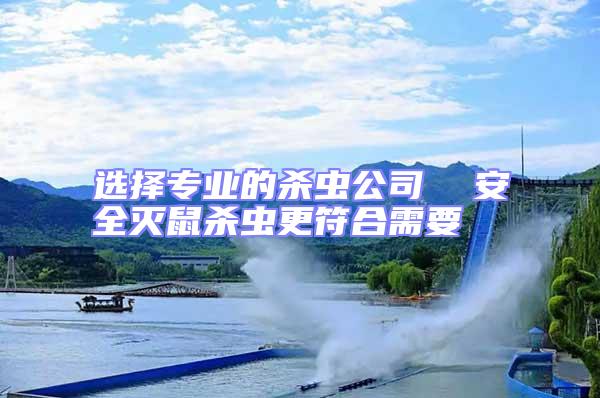 選擇專業的殺蟲公司 安全滅鼠殺蟲更符合需要