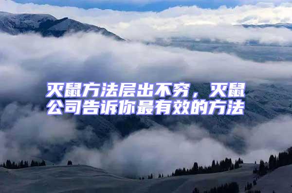 滅鼠方法層出不窮，滅鼠公司告訴你最有效的方法
