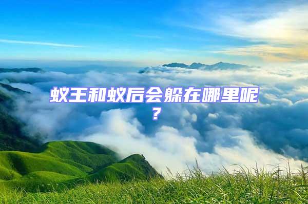 蟻王和蟻后會(huì)躲在哪里呢？