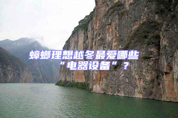 蟑螂理想越冬最愛哪些“電器設備”?