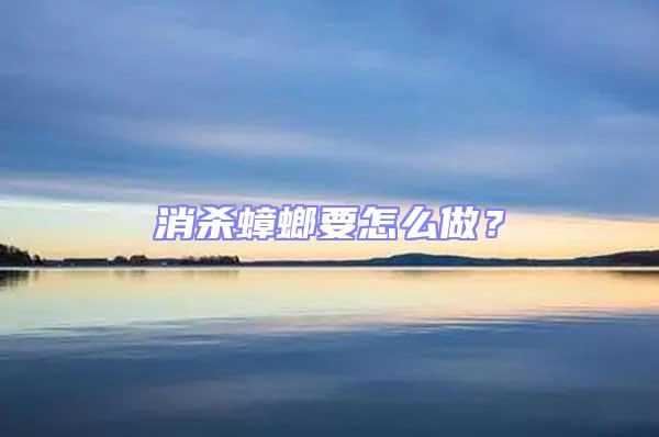 消殺蟑螂要怎么做？