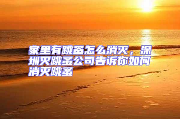 家里有跳蚤怎么消滅,深圳滅跳蚤公司告訴你如何消滅跳蚤