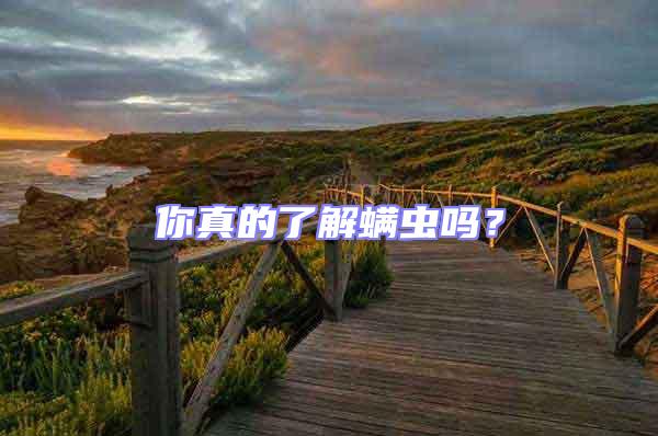 你真的了解螨蟲嗎？