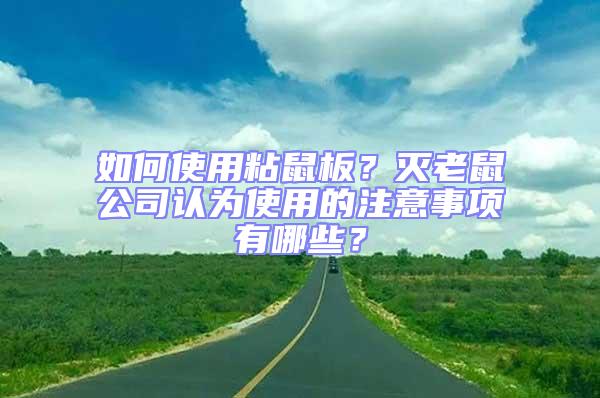 如何使用粘鼠板？滅老鼠公司認為使用的注意事項有哪些？