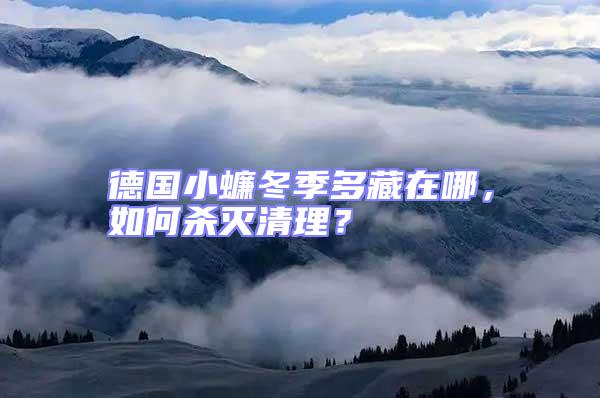 德國小蠊冬季多藏在哪,如何殺滅清理?