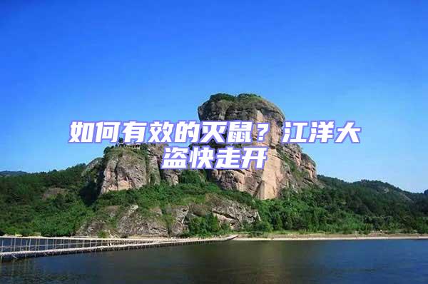 如何有效的滅鼠？江洋大盜快走開(kāi)