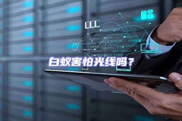 白蟻害怕光線嗎？