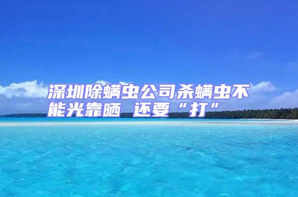 深圳除螨蟲(chóng)公司殺螨蟲(chóng)不能光靠曬 還要“打”