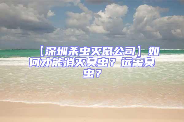 【深圳殺蟲滅鼠公司】如何才能消滅臭蟲？遠離臭蟲？