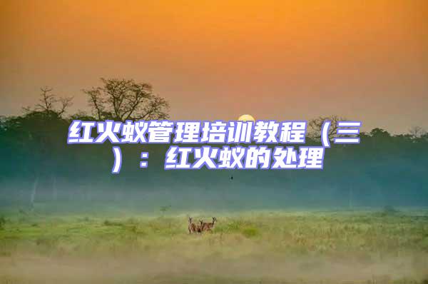 紅火蟻管理培訓(xùn)教程(三):紅火蟻的處理