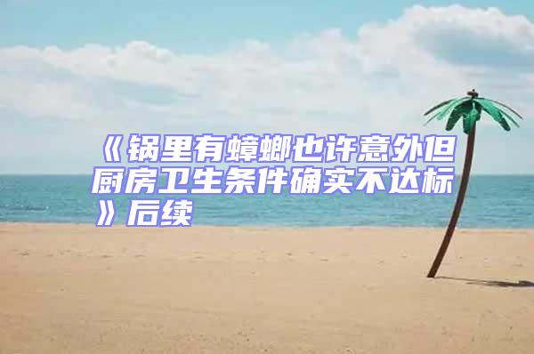 《鍋里有蟑螂也許意外但廚房衛生條件確實不達標》后續