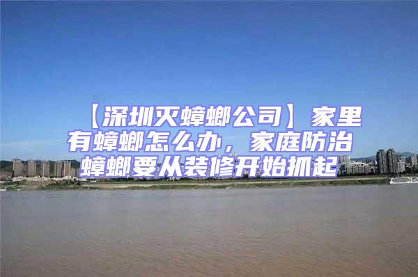 【深圳滅蟑螂公司】家里有蟑螂怎么辦，家庭防治蟑螂要從裝修開始抓起