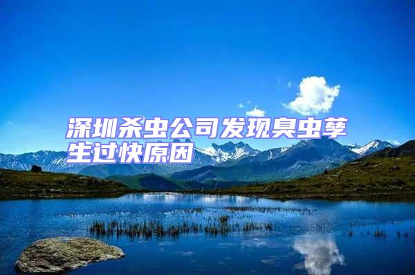 深圳殺蟲公司發現臭蟲孳生過快原因