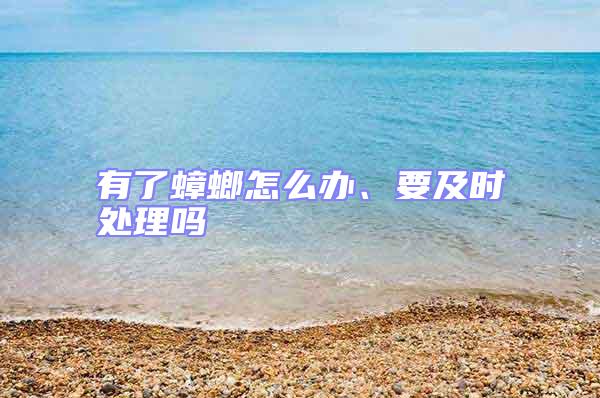 有了蟑螂怎么辦、要及時處理嗎