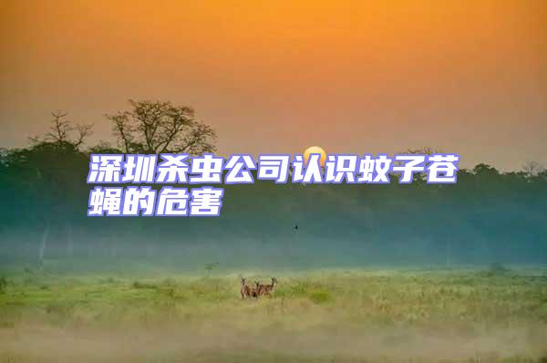 深圳殺蟲公司認識蚊子蒼蠅的危害