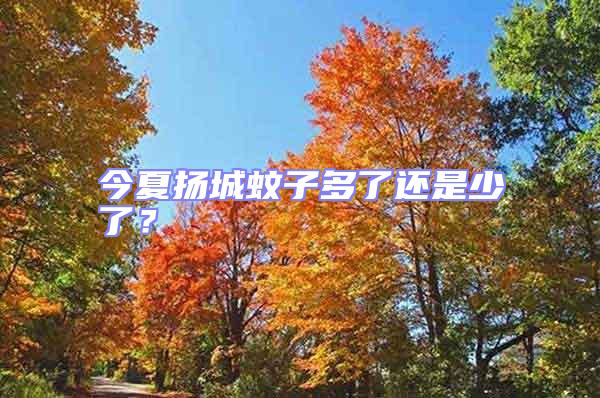 今夏揚城蚊子多了還是少了?