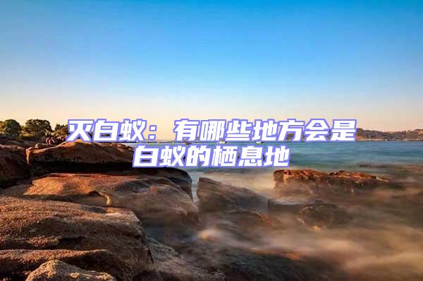 滅白蟻：有哪些地方會是白蟻的棲息地