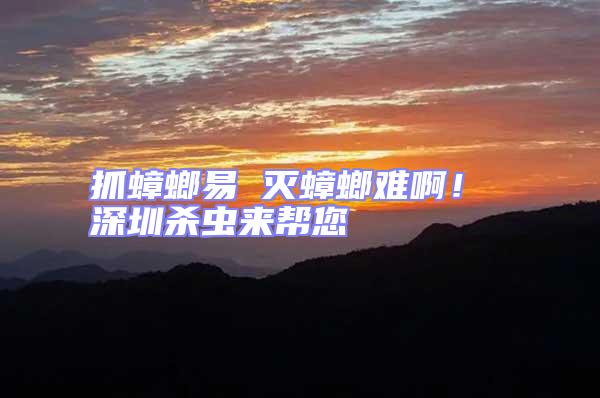 抓蟑螂易 滅蟑螂難啊！ 深圳殺蟲來幫您