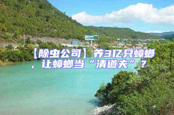 【除蟲(chóng)公司】養(yǎng)3億只蟑螂,讓蟑螂當(dāng)“清道夫”?