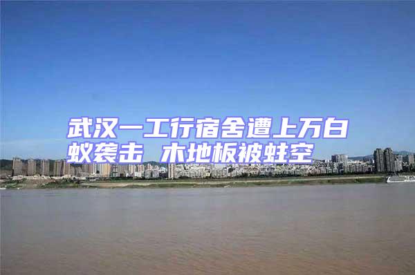 武漢一工行宿舍遭上萬白蟻襲擊 木地板被蛀空