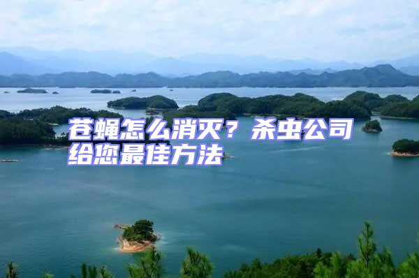 蒼蠅怎么消滅？殺蟲公司給您最佳方法