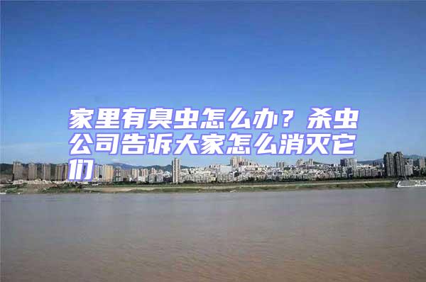 家里有臭蟲怎么辦？殺蟲公司告訴大家怎么消滅它們