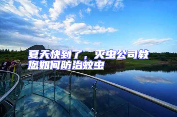 夏天快到了,滅蟲公司教您如何防治蚊蟲