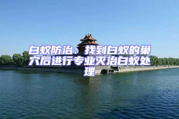 白蟻防治:找到白蟻的巢穴后進行專業(yè)滅治白蟻處理