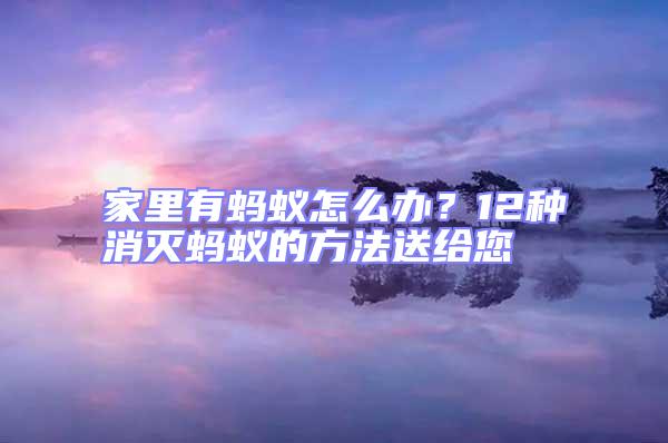 家里有螞蟻怎么辦?12種消滅螞蟻的方法送給您