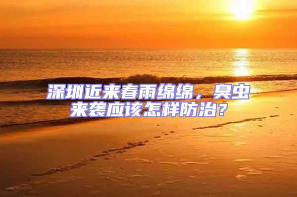 深圳近來春雨綿綿，臭蟲來襲應該怎樣防治？