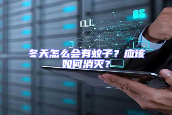 冬天怎么會有蚊子？應該如何消滅？