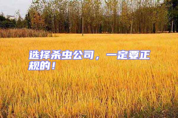 選擇殺蟲公司，一定要正規的！
